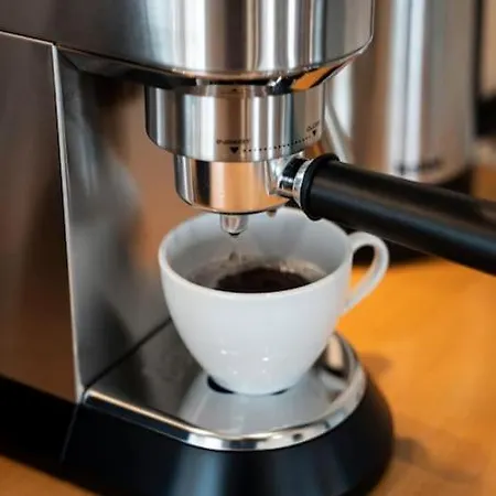 Oomph Mint Harmony & Vibrant Accents وارسو